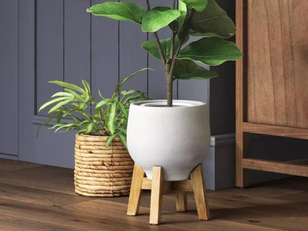 coiled planter with plant in it next to white planter on plant stand with plant in it