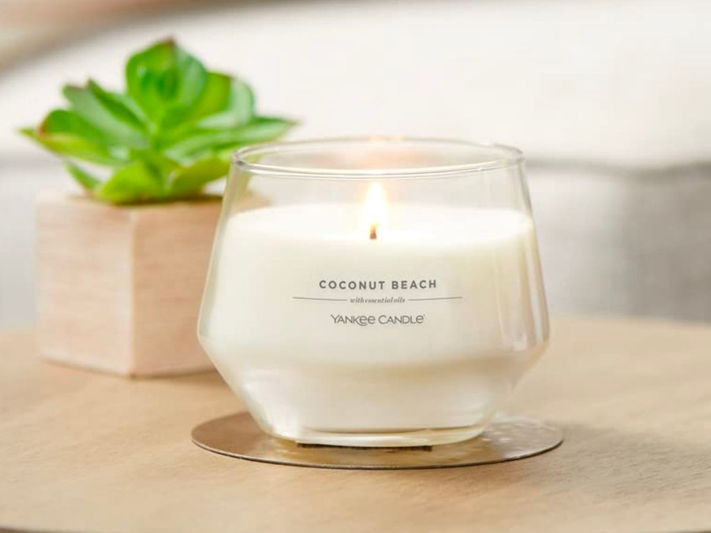 coconut beach yankee candle on table with plant