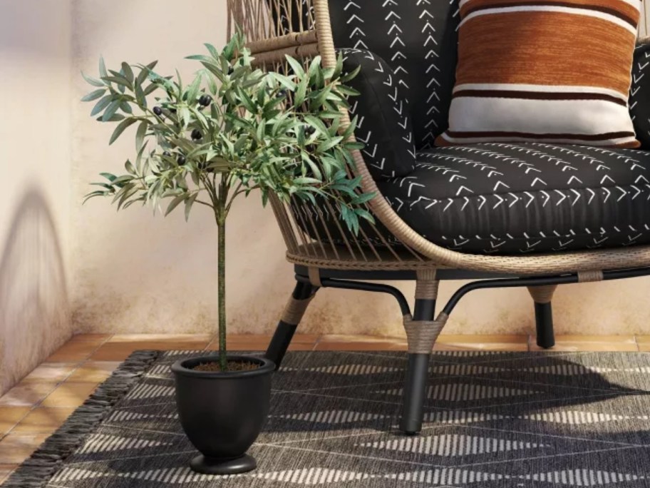 faux Olive Tree plant in a black pot next to a wicker egg chair