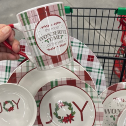 *NEW* Dollar Tree Holiday Dishes ONLY $1.25