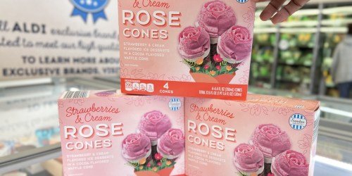 ALDI Rose Cones 4-Count Box Only $3.99 (Sweet Treat for Mother’s Day!)