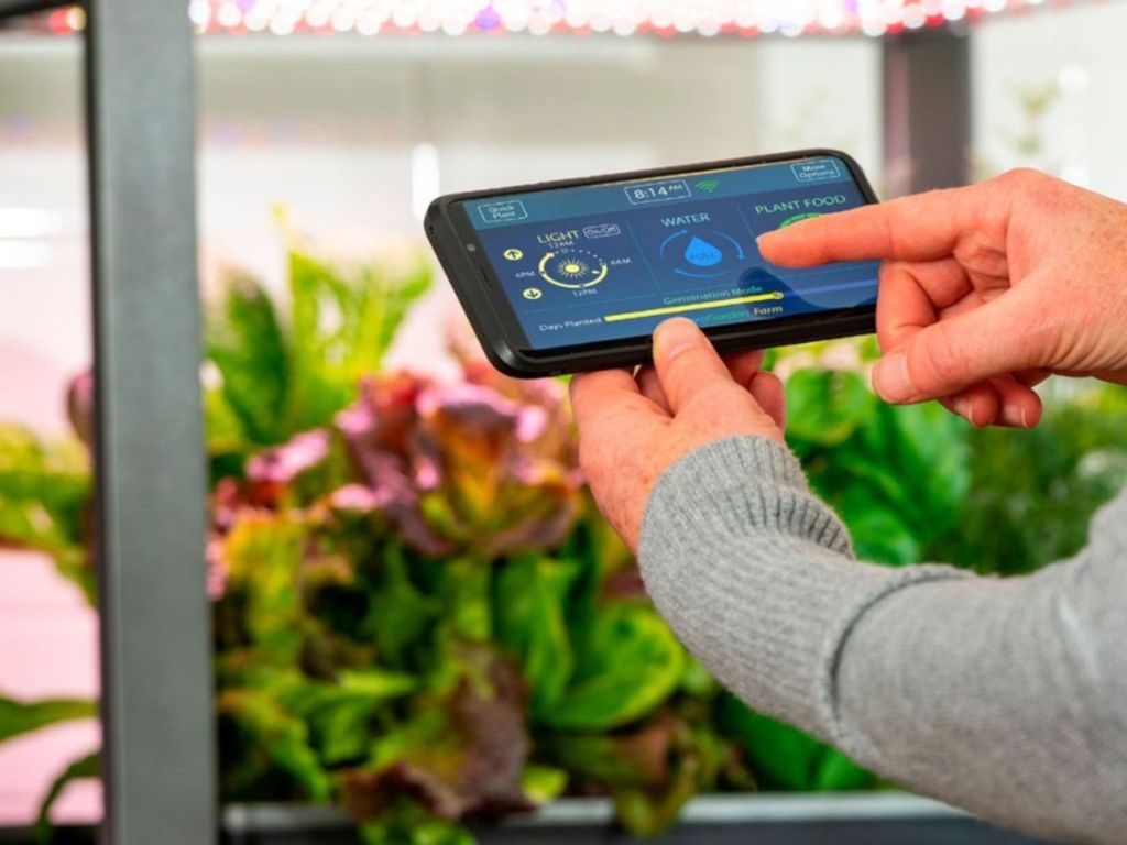 An indoor garden with phone