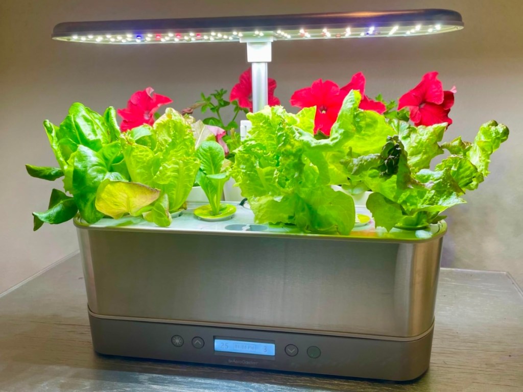 Aerogarden-Harvest-Slim-Elite حديقة AeroGarden Harvest Slim الداخلية التي تم شحنها بسعر 49.99 دولارًا فقط |  تتضمن مجموعة بذور سلطة الإرث