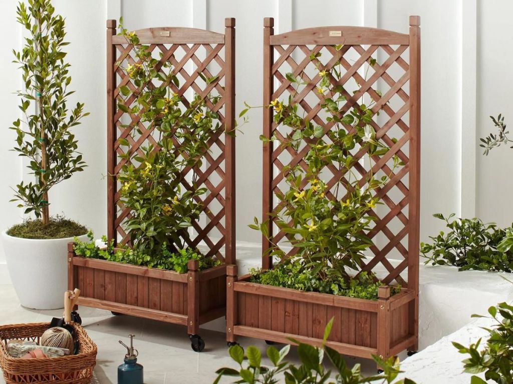 2 wood trellis with greenery surrounding them