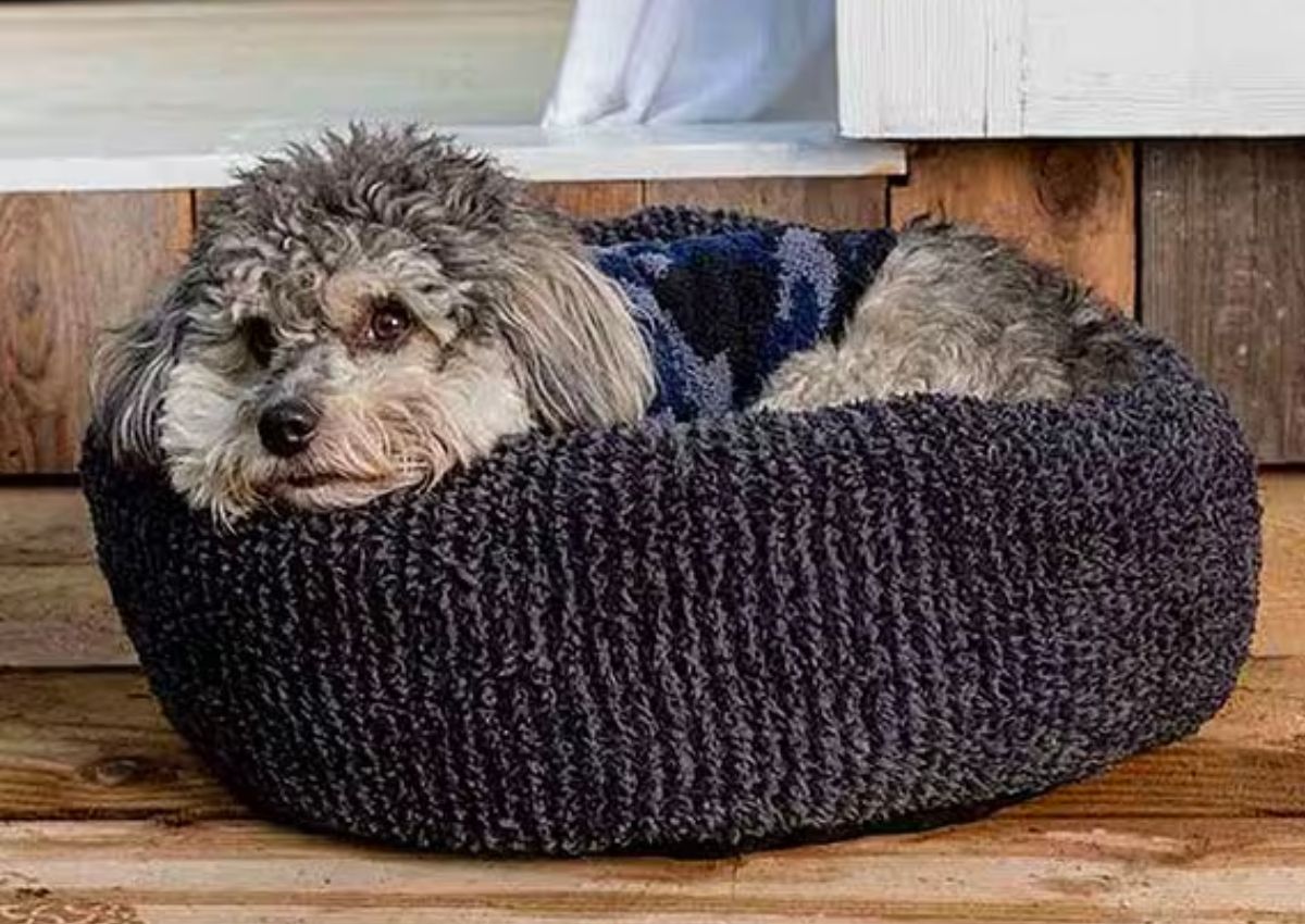 a small gray dog relaxing in a Barefoot Dreams small Round Pet Bed