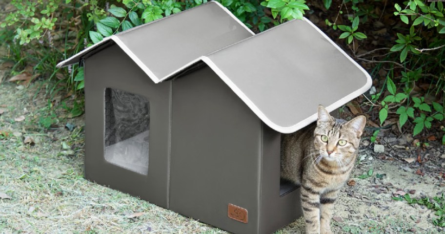 grey striped cat coming out of a cat house