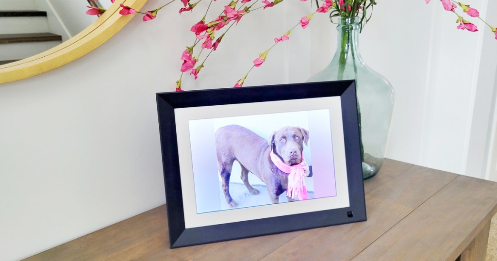 photo of dog with scarf displayed on digital picture frame