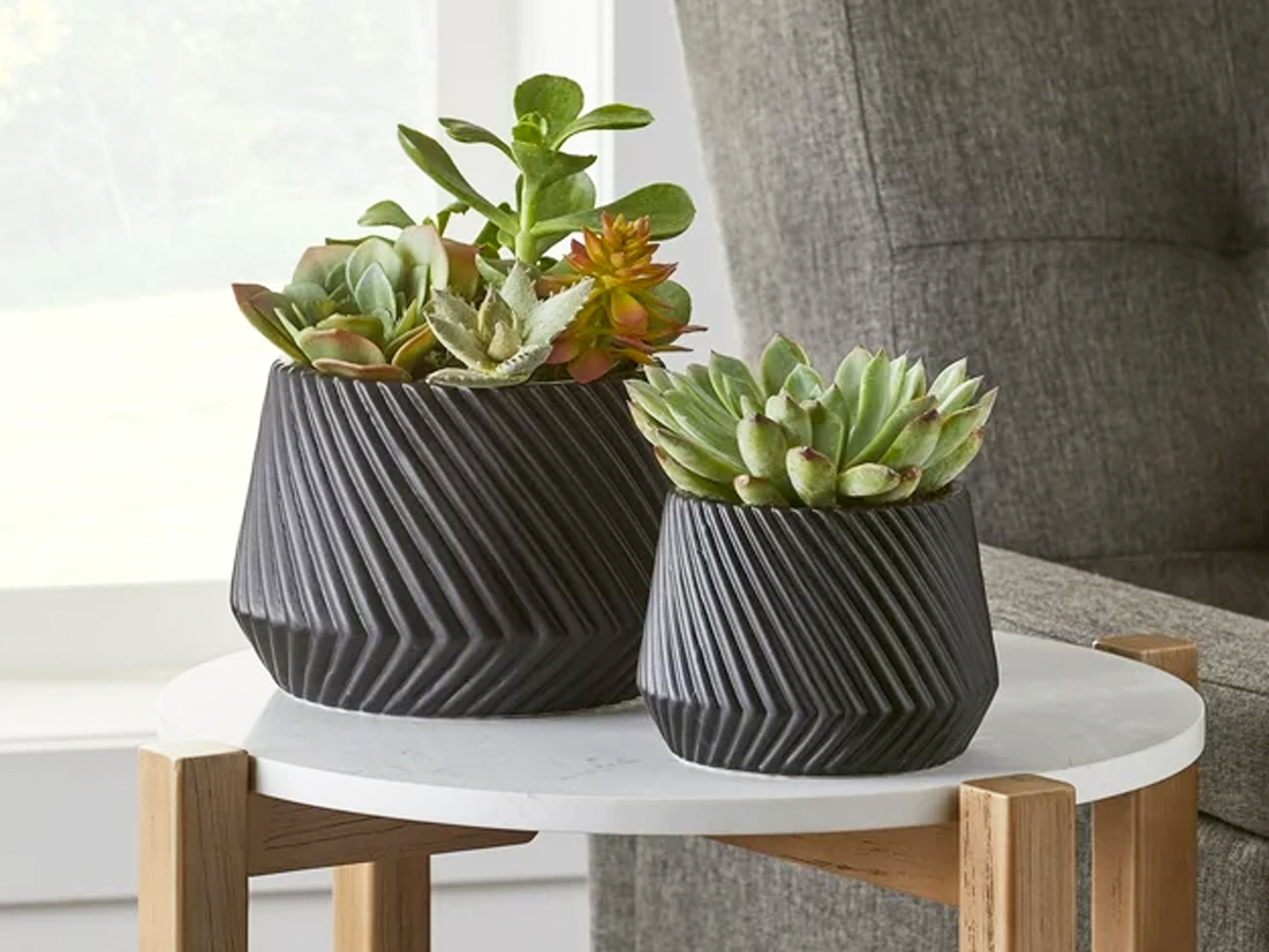 two black planters with succulents on accent table