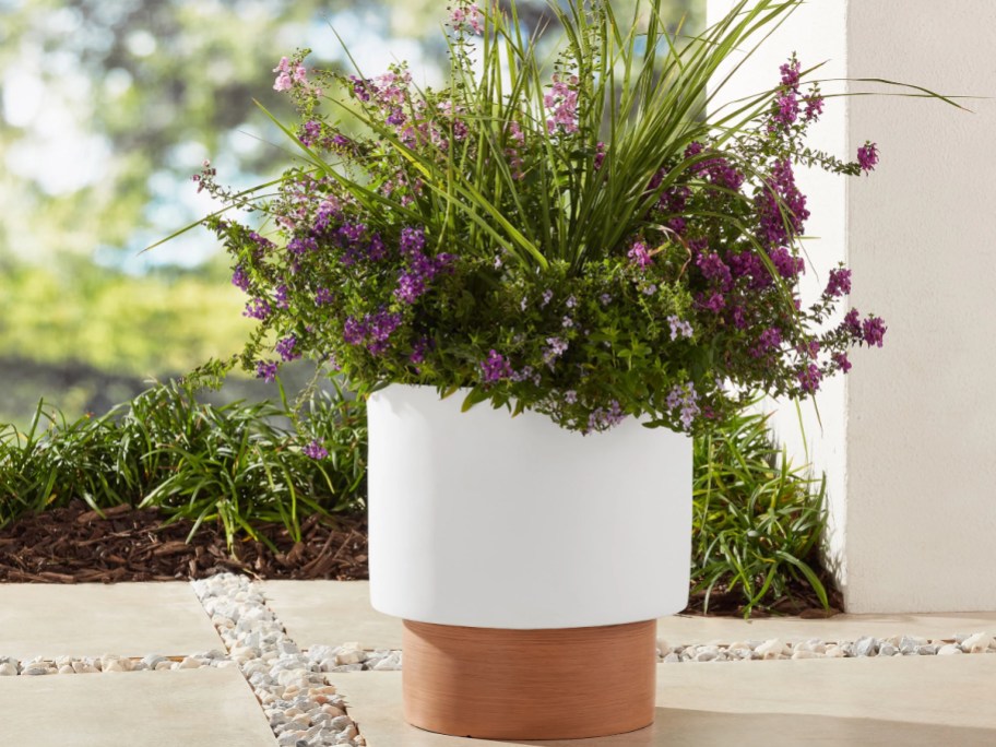 assorted plants in a white planter