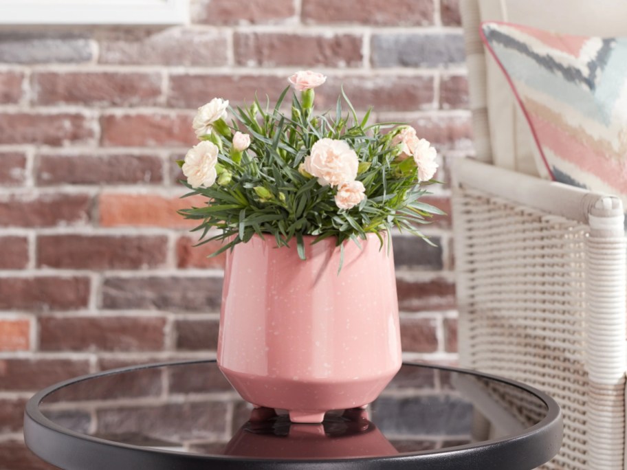 pink flowers in a pink ceramic pot