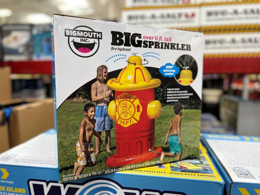 Fire hydrant sprinkler box