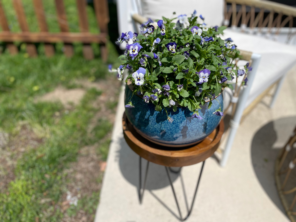 A blue planter from the Walmart outdoor decor collection displayed outdoors with flowers