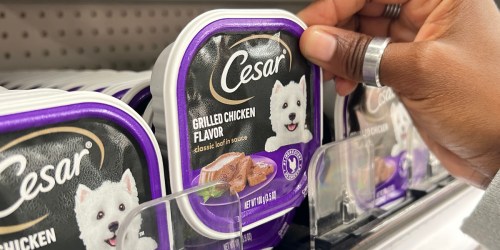 Cesar Wet Dog Food Trays Just 20¢ Each After Cash Back at Target