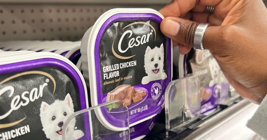 Cesar Dog Food on shelf at store