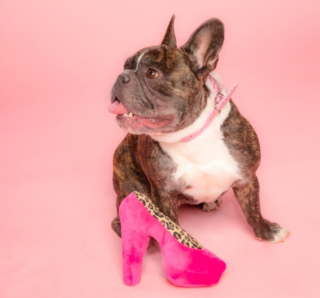 Dog sitting next to a plush high heel toy