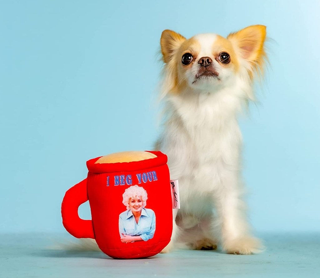 Dog next to a dog mug toy