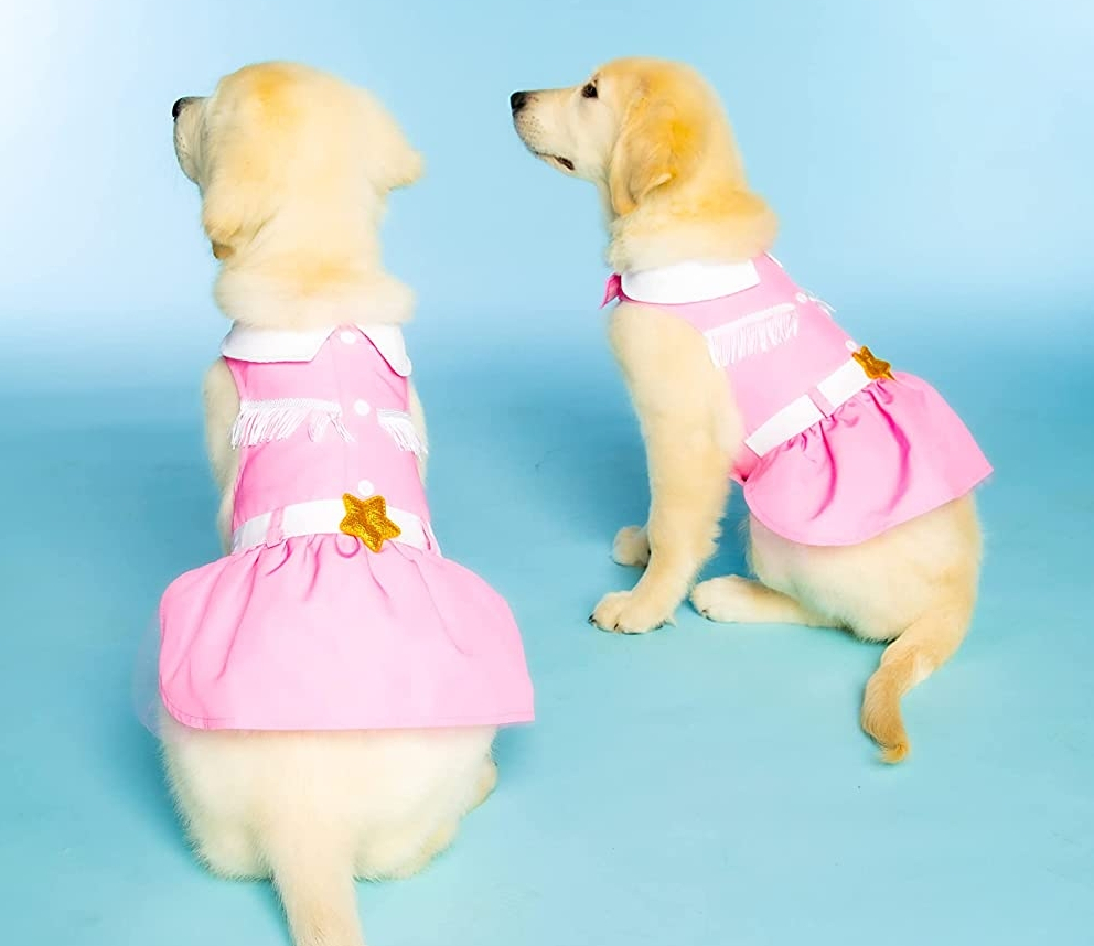 Two dogs wearing pink dresses