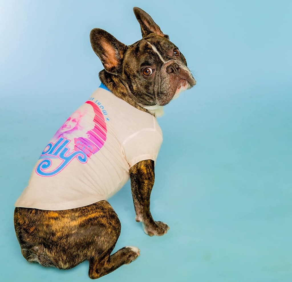 Dog wearing a shirt with Dolly Parton on it
