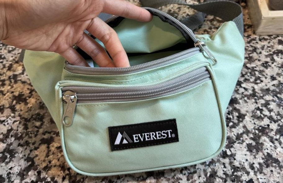 NEW Walmart Belt Bags Under $10 | Everest Unisex Signature Waist Pack Only $5.45