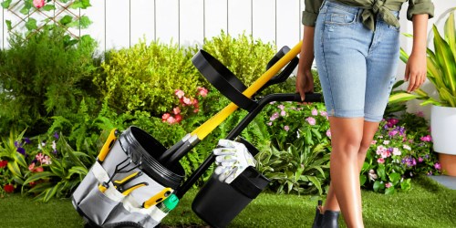 Rolling Garden Tool Caddy Just $59 Shipped on Walmart.com