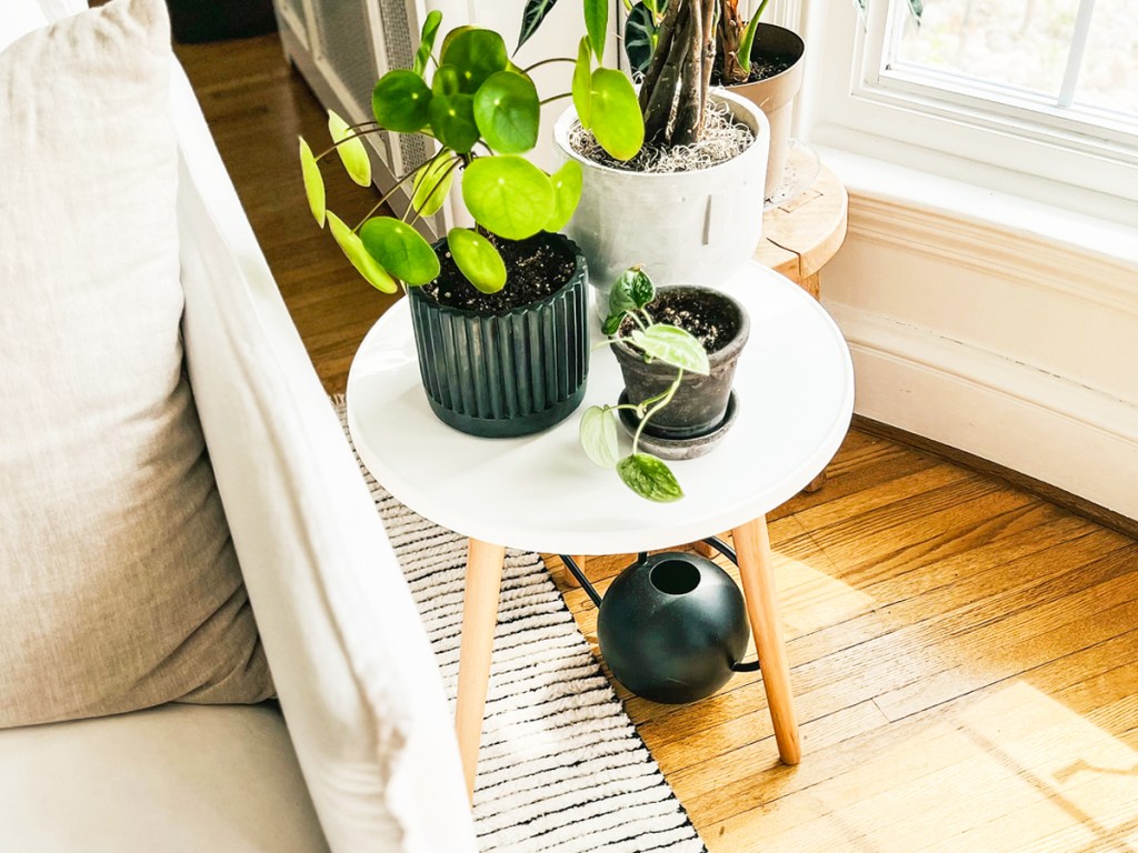 plants on a white side table with wood legs