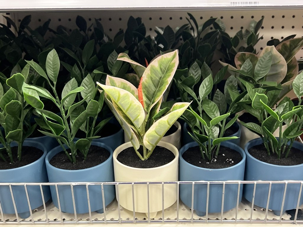 shelf full of faux potted plants