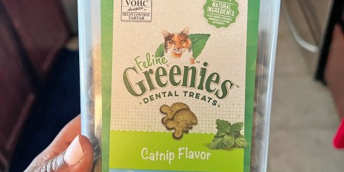 Feline Greenies Dental Treats 9.75oz Container Only $4 Shipped on Amazon (Reg. $11)