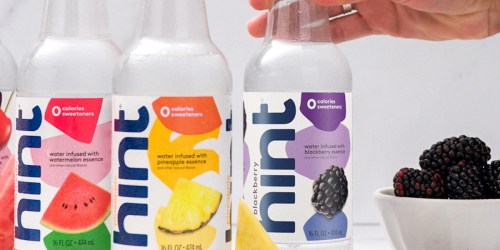 Hint Fruit Infused Water Variety 12-Pack Only $9.49 Shipped on Amazon (Reg. $16)