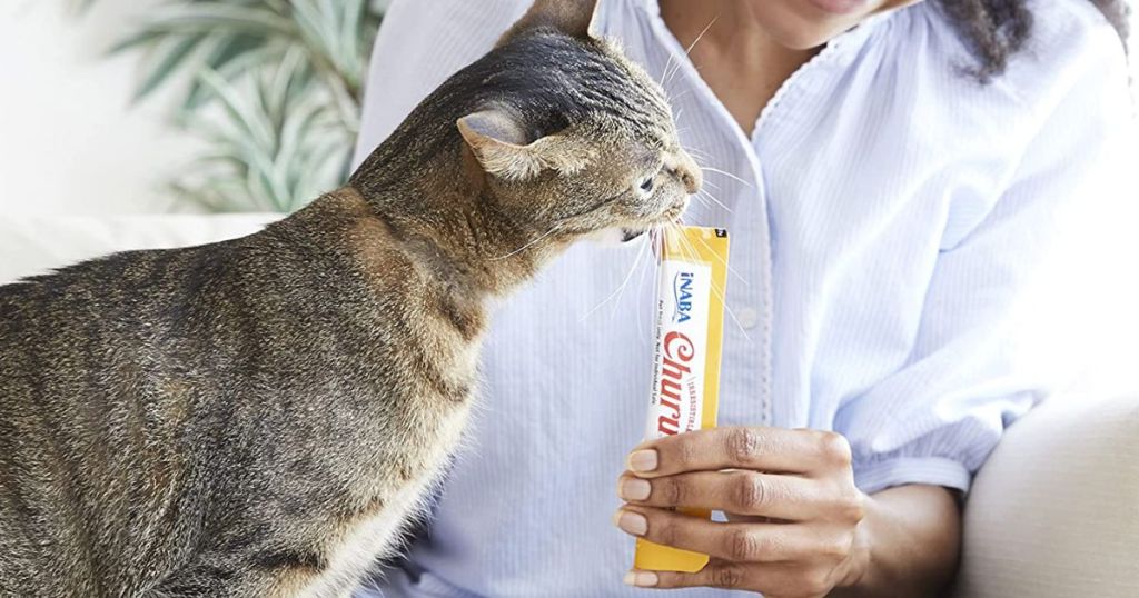 Woman holding a treat tube for a cat to eat