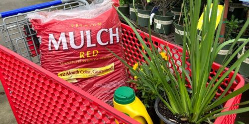 Premium Mulch Bags Just $2 at Lowe’s | Last Day to Stock Up