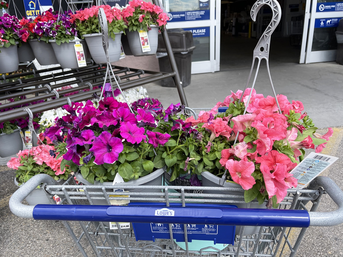 Lowe’s Hanging Flower Baskets Just $8 Each (In-Store Only) – Last Chance!