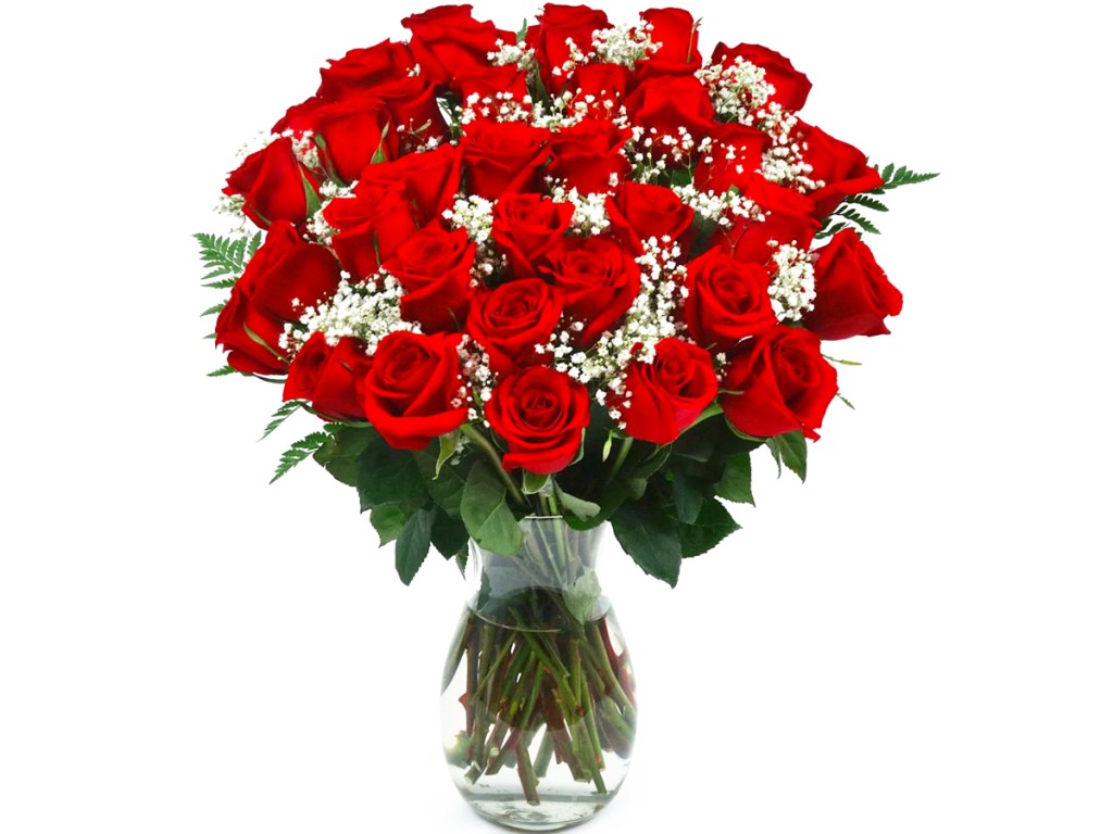 red roses and baby's breath in vase