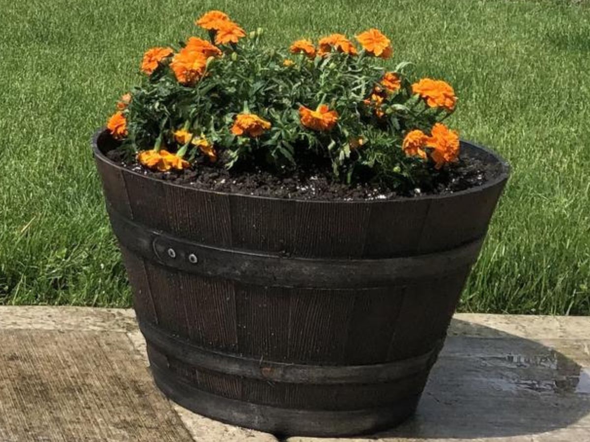 https://hip2save.com/wp-content/uploads/2023/05/Members-Mark-Wine-Barrel-Planter.jpg