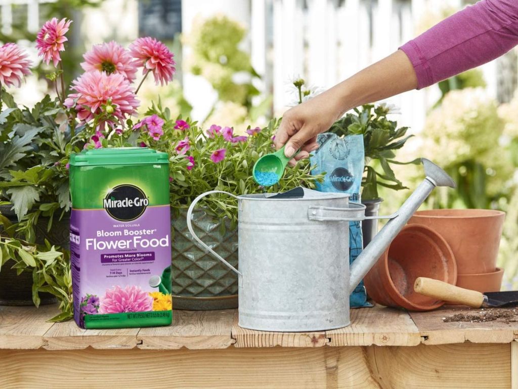 Miracle-Gro Water Soluble Bloom Booster 5.5-lb Flower Food on deck with flower pots surrounding it and person pouring flower food into metal watering can