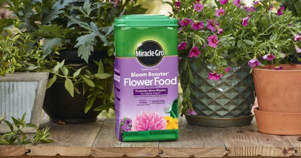Miracle-Gro Water Soluble Bloom Booster 5.5-lb Flower Food on deck with flower pots surrounding it