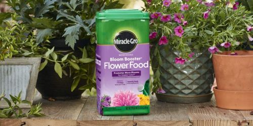 Lowe’s Miracle-Gro Water Soluble Bloom Booster 5.5-lb Flower Food Only $12.98