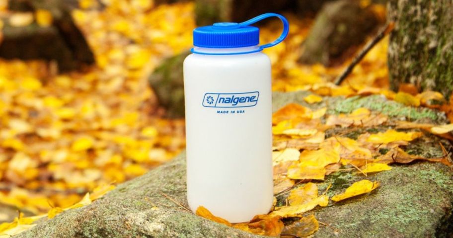 A Nalgene Water bottle on a rock with lots of golden leaves