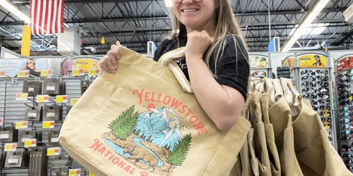 National Parks Canvas Tote Bags Only $19.98 at Walmart | Yellowstone, Joshua Tree & More