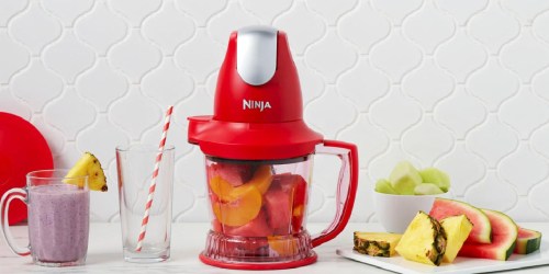 Ninja Storm Blender & Food Processor Just $23.49 Shipped (Reg. $40) | Includes 100 Recipes!
