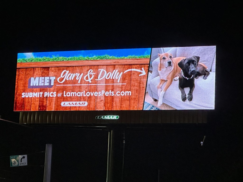 Pet Billboard pictured at night featuring dogs named Gary & Dolly