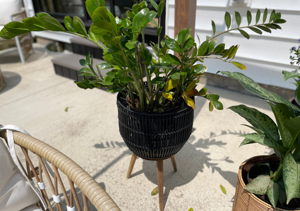 A black rattan planter set from Walmart displayed on a back patio