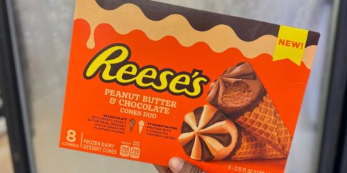 TWO Reese’s Ice Cream Cones 8-Packs Only 94¢ at Walmart After Cash Back (Just 47¢ Each)