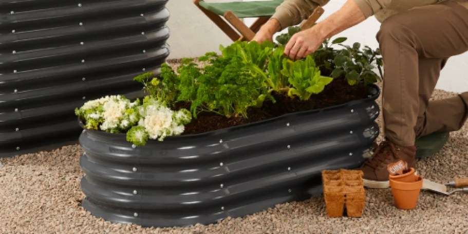 Raised Garden Bed Only $39.99 Shipped on Amazon (Regularly $70)