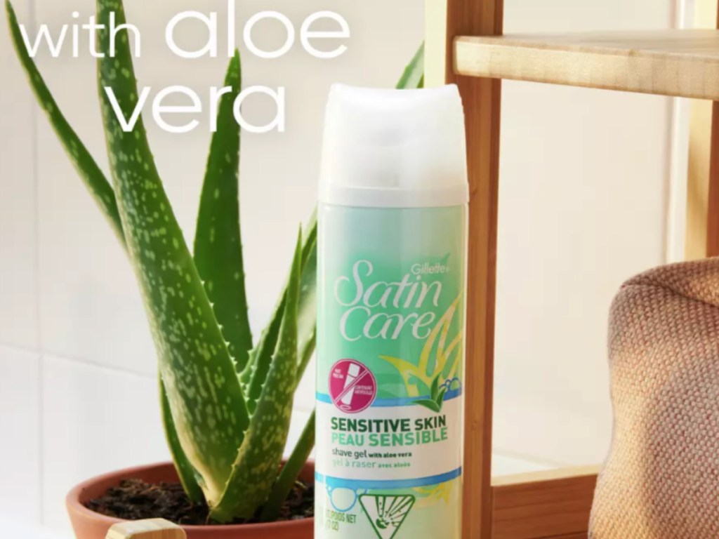 green bottle of shave gel in front of aloe vera plant