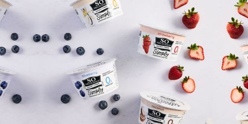 FREE So Delicious Yogurt After Cash Back at Publix