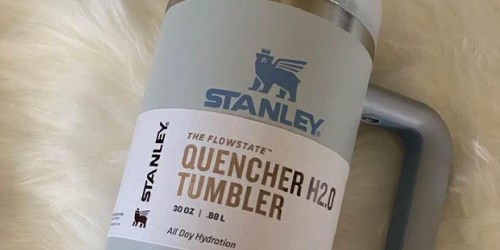 Stanley Quencher 40oz Tumbler Only $34.99 on Amazon + More