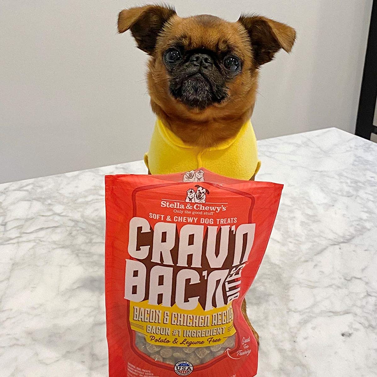 Stella chewy outlet dog treats