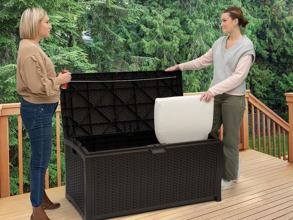 2 women talking while one woman is placing white seat cushion in dark brown deck box