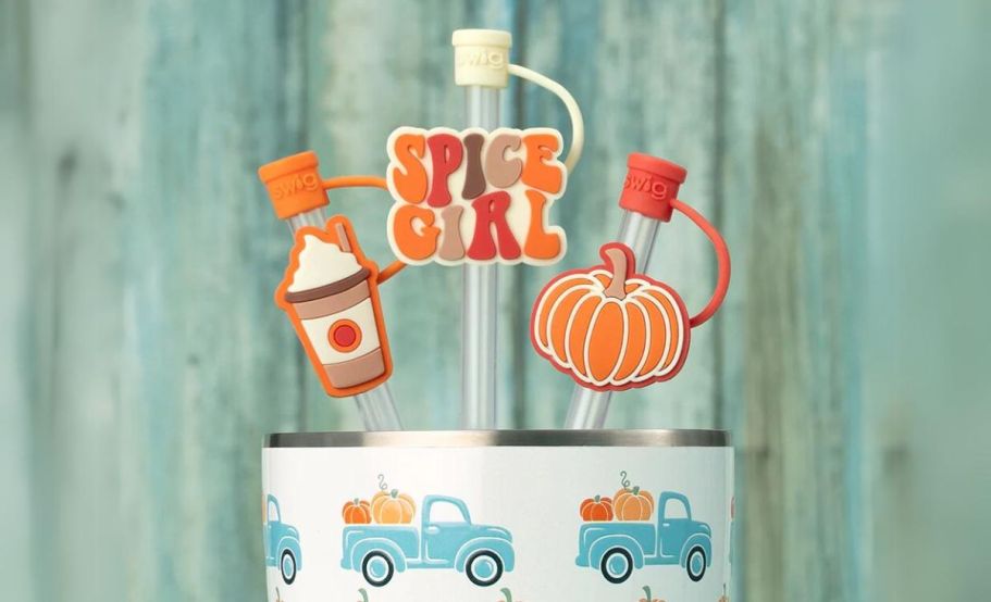 GO! 60% Off Halloween Swig Life Cups & Tumbler Accessories