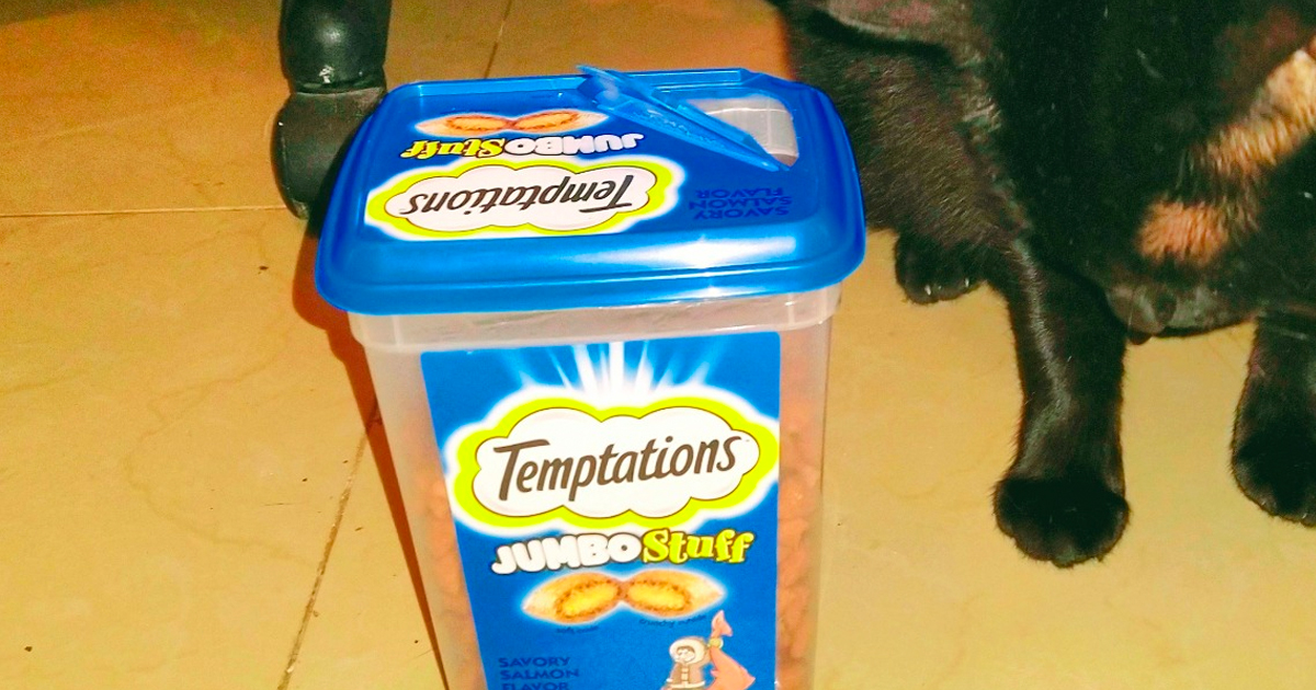 Temptations Jumbo Stuff Cat Treats 14oz Container Only $5.68 Shipped on Amazon (Regularly $8)